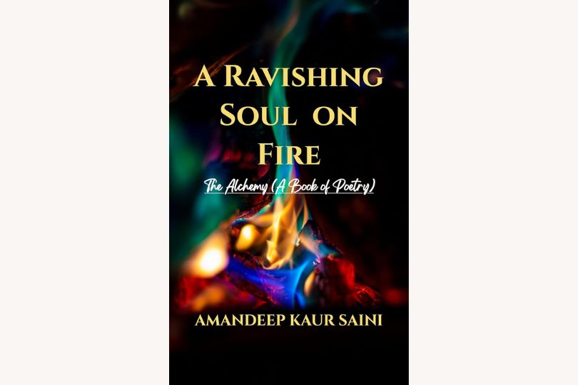A Ravishing Soul on Fire - Book cover