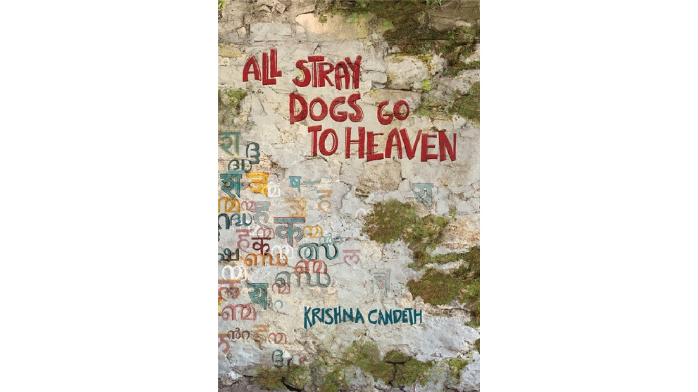 All Stray Dogs Go to Heaven Book
