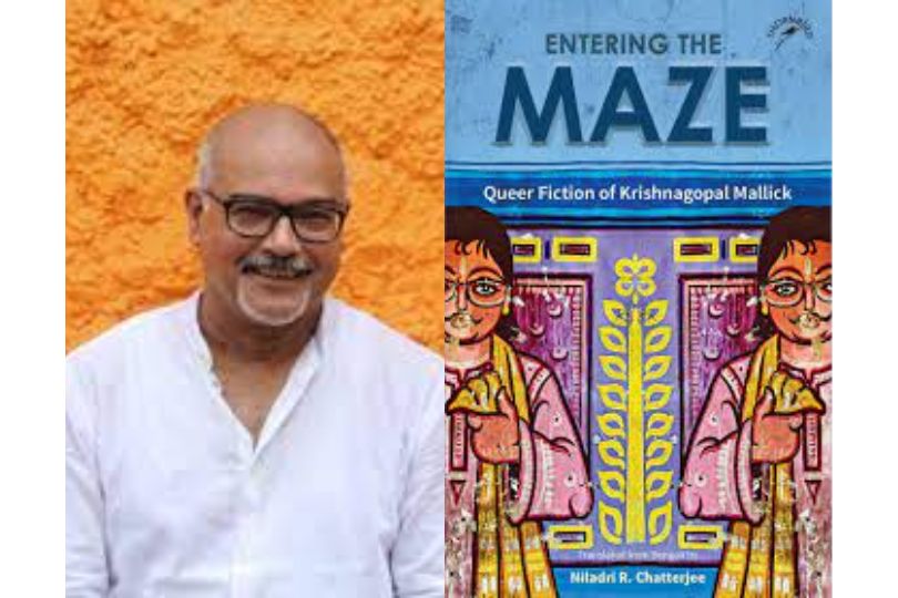 Interview With Niladri R. Chatterjee, author of Entering the Maze