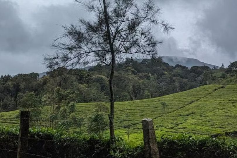 The Kerala Literature Festival has Established a Residency Programme for Writers in Vagamon | Frontlist
