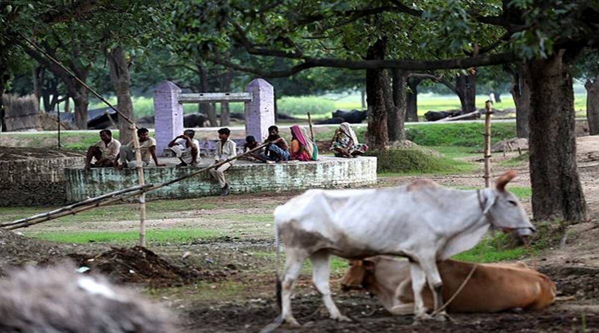 Frontlist | govt to hold national cow science exam on Feb 25