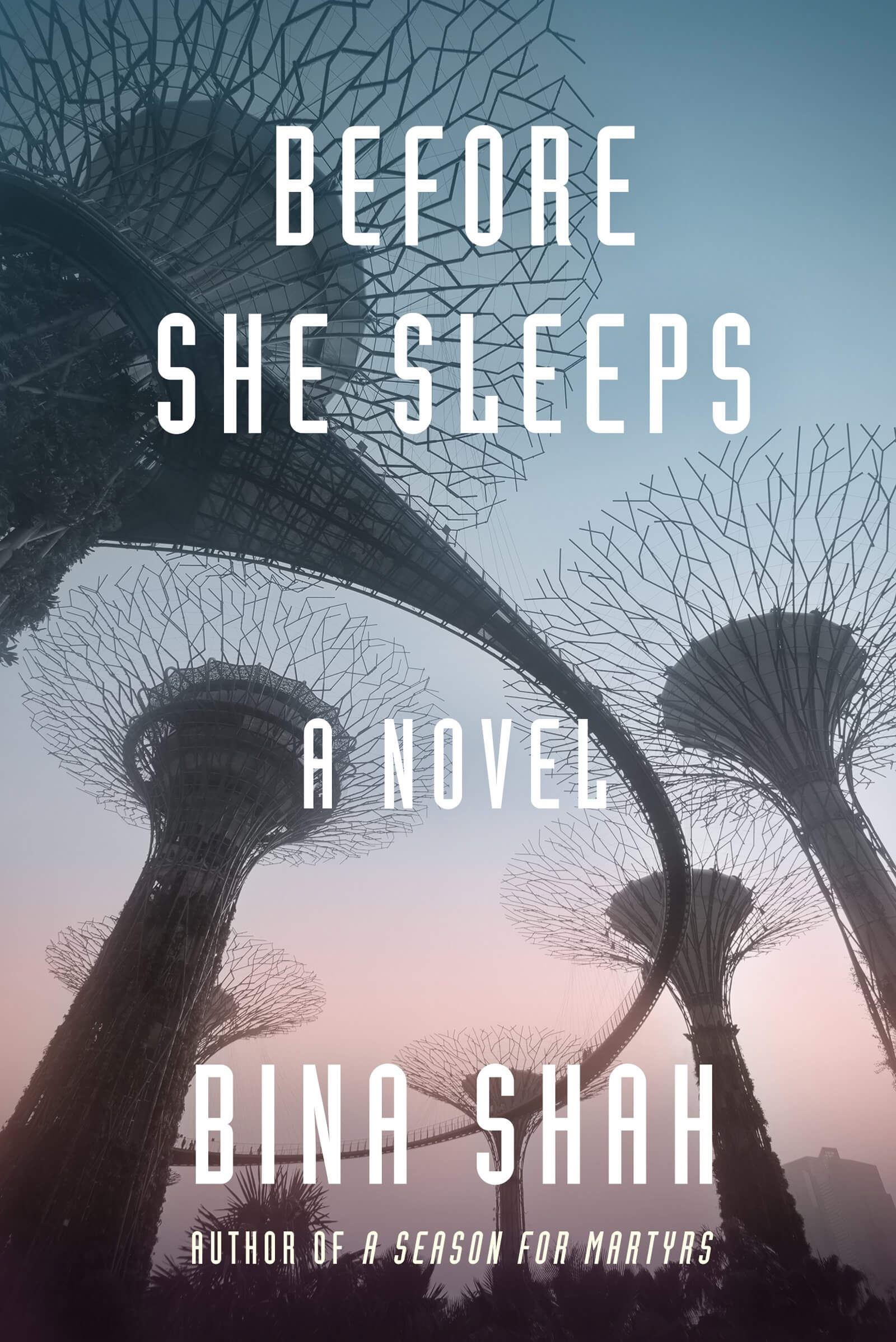 Frontlist | 'Before She Sleeps' book review: Reluctance, Rebellion, Revolt