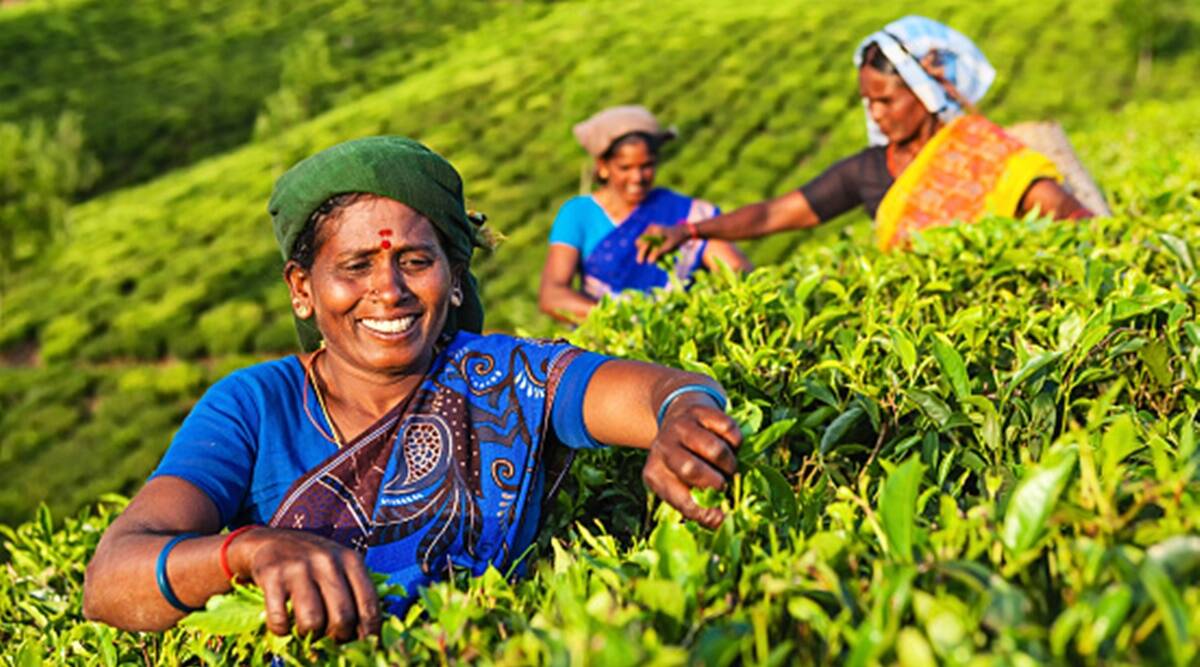 IGNOU launches certificate programme in gender, agriculture and sustainable development