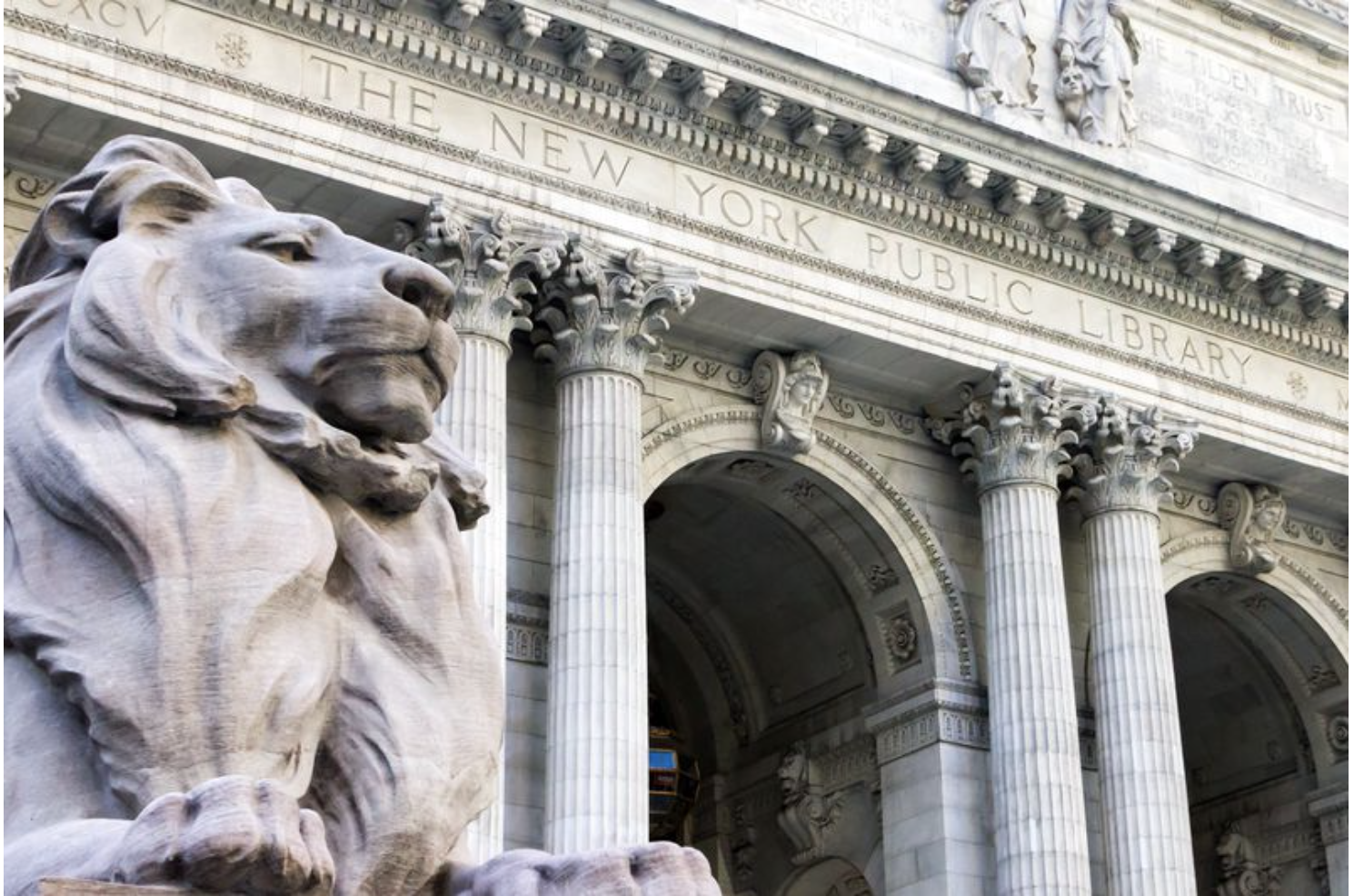 New York Public Library lets readers go on virtual journey with World Literature Festival
