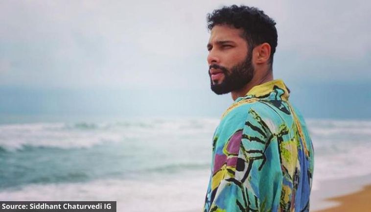 DYK Siddhant Chaturvedi Studied To Become A CA Before Bollywood Came Calling?
