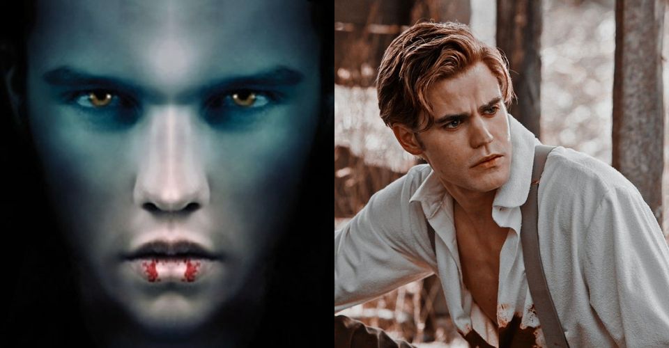 The Vampire Diaries: 10 Differences Between Stefan In The Books &amp; The Show