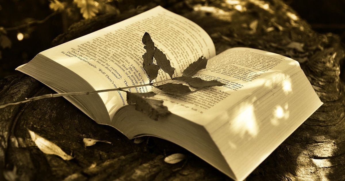 Read a New Book - Top Five Fantasy Books