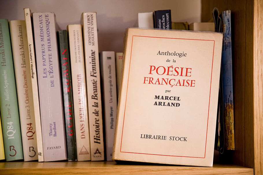 France moves to shield its book industry from Amazon.